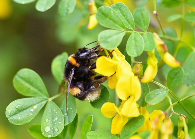 盯着大盘实时走势越看越慌景衡川把关键门道讲透了