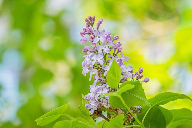 何为量化交易一位策略研究员把门道、误区和真实收益讲透了 何为量化交易一位策略研究员把门道、误区和真实收益讲透了