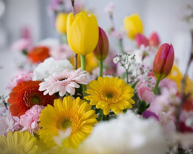 一位理性投机者眼中的「562080股票走势图」:暴涨暴跌背后藏着哪些信号 一位理性投机者眼中的「562080股票走势图」:暴涨暴跌背后藏着哪些信号