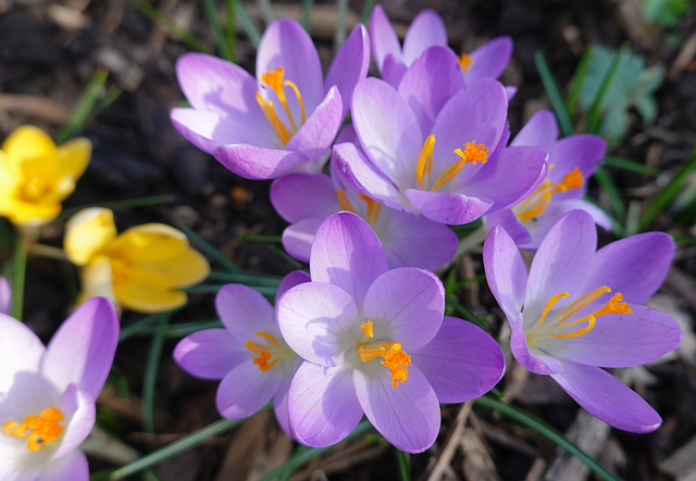 美元加息最新消息突然变脸闻知衡:普通人最该盯紧的不是“加不加”,而是这几点 美元加息最新消息突然变脸闻知衡:普通人最该盯紧的不是“加不加”,而是这几点