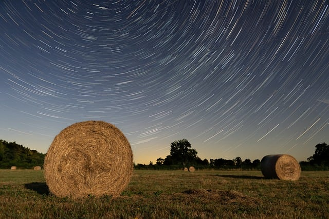 散户别再乱买了,聊聊我眼中“能源股最厉害三个龙头”的真相与机会 散户别再乱买了,聊聊我眼中“能源股最厉害三个龙头”的真相与机会