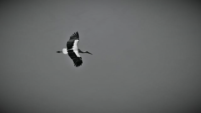 新能源龙头股一览表：我踩过的坑、捡到的宝，都在这张“名单”里